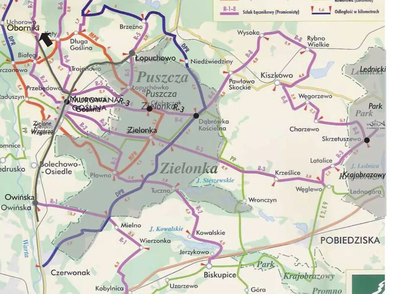 Puszcza Zielonka i jej malownicze trasy rowerowe zapraszają na aktywny wypoczynek.
