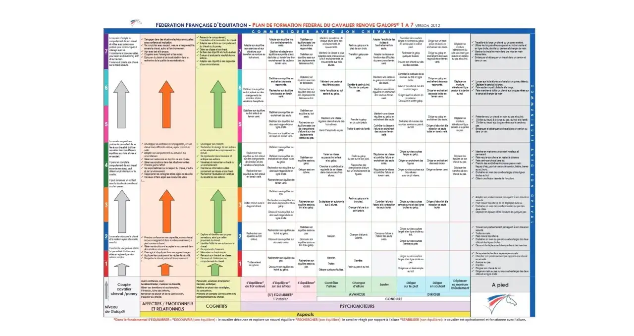Tableau du niveau d'équitation du cavalier, du galop 1 à 7, avec des objectifs psychomoteurs, cognitifs et affectifs.