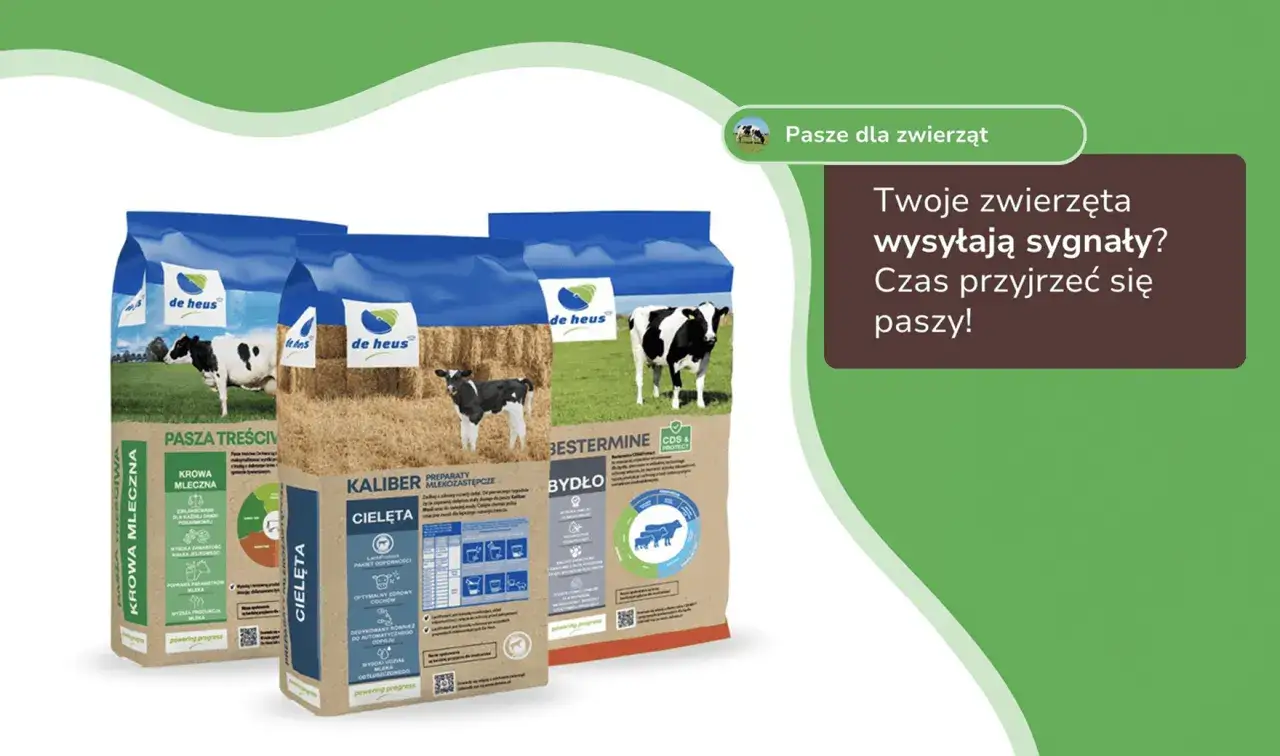 Trzy worki paszy dla bydła: dla krów mlecznych, cieląt i bydła. Twoje zwierzęta wysyłają sygnały? Czas przyjrzeć się paszy!