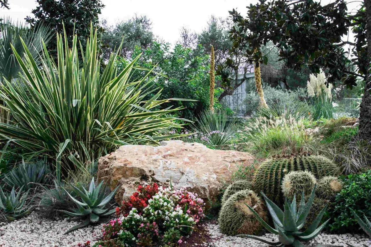 Un jardin luxuriant avec des cactus, des agaves et des gramin&eacute;es, parfait pour d&eacute;couvrir 10 plantes faciles qui r&eacute;sistent au manque d'eau.