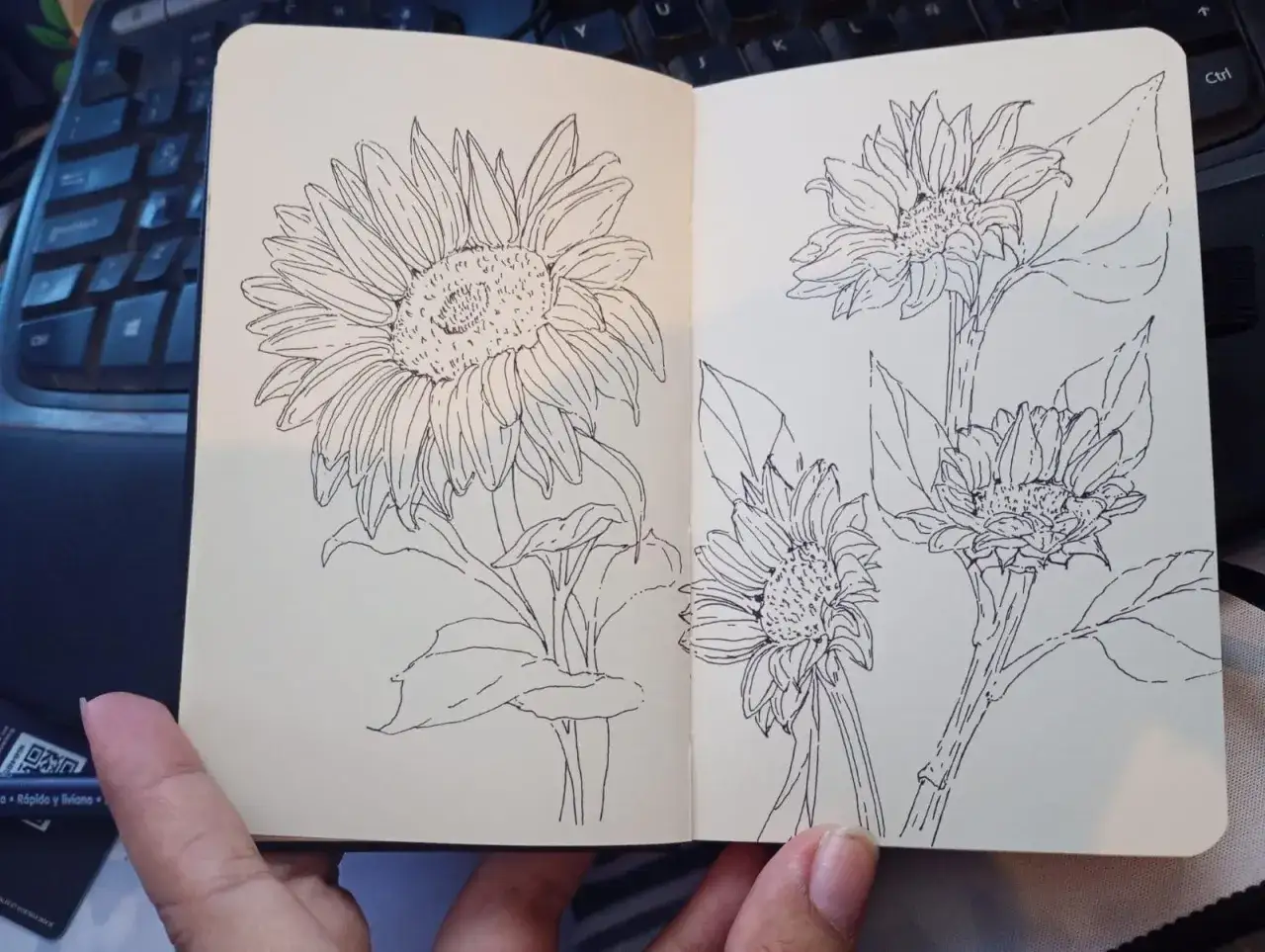 Carnet ouvert avec des croquis de tournesols. Une belle façon de trouver l'inspiration pour dessiner.