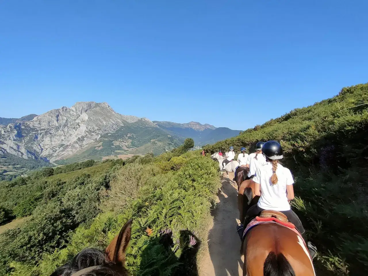 Grupo de jinetes disfrutando de una ruta a caballo por Cantabria, con montañas y vegetación verde de fondo.