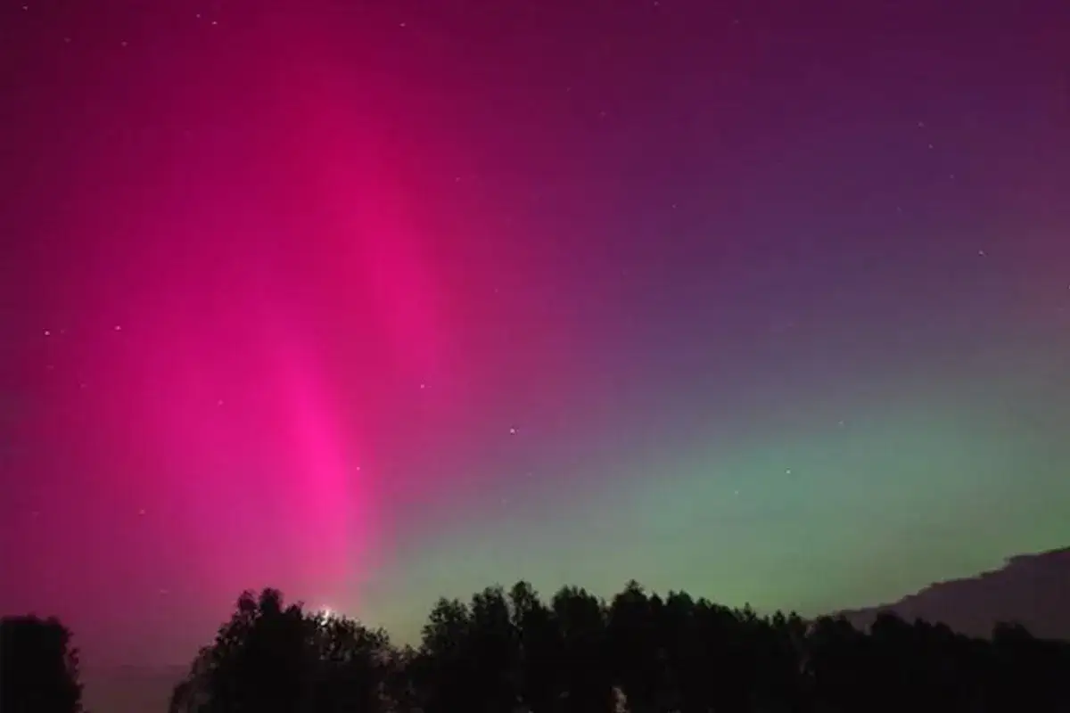 Niezwykła zorza polarna w Polsce rozświetla nocne niebo nad sylwetkami drzew. Różowe i zielone łuny tańczą na fioletowym tle.