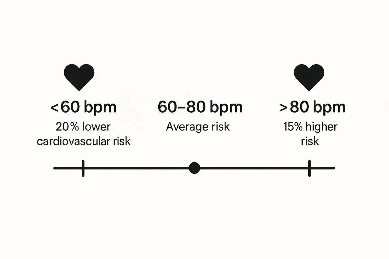 Un cuore con 55 battiti al minuto a riposo indica un rischio cardiovascolare ridotto del 20%. La norma è 60-80 bpm.