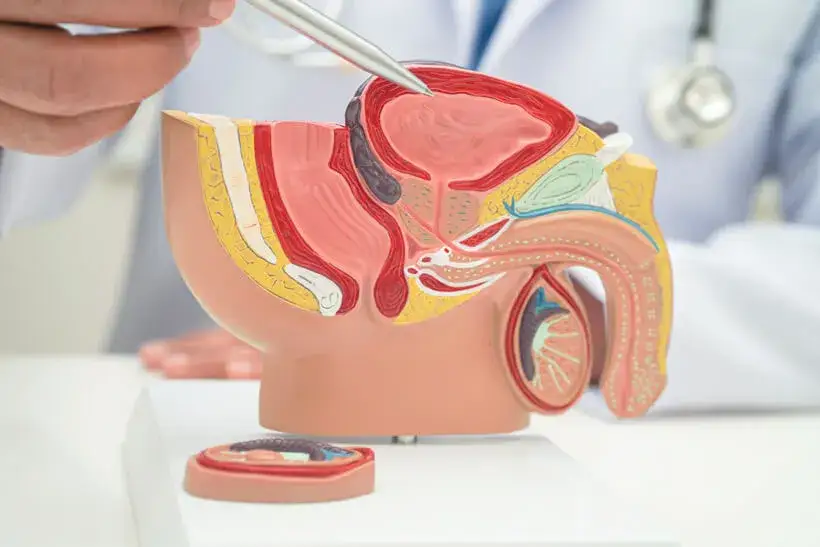 objawy problemów urologicznych