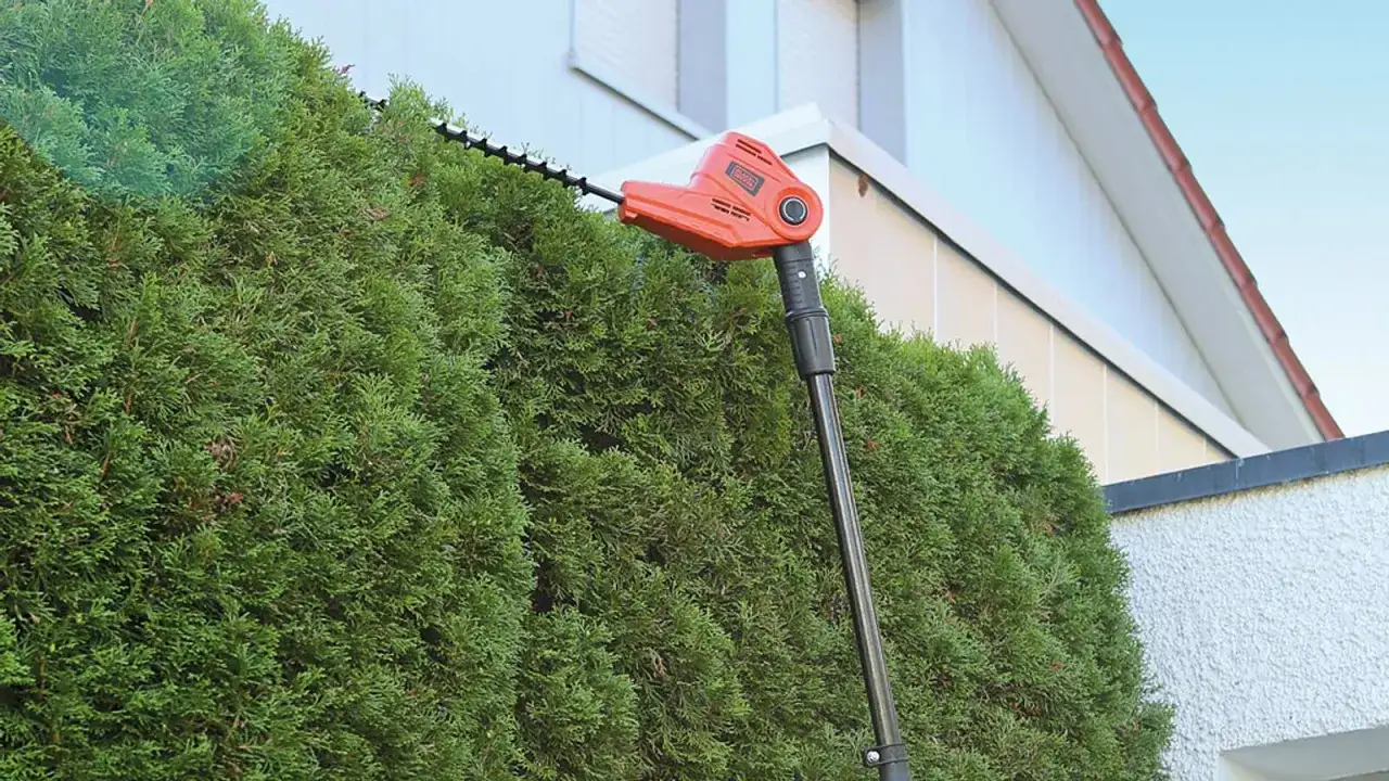 Ein oranges Heckenscheren-Gerät mit Teleskopstiel wird benutzt, um eine dichte, grüne Thuja-Hecke zu schneiden.