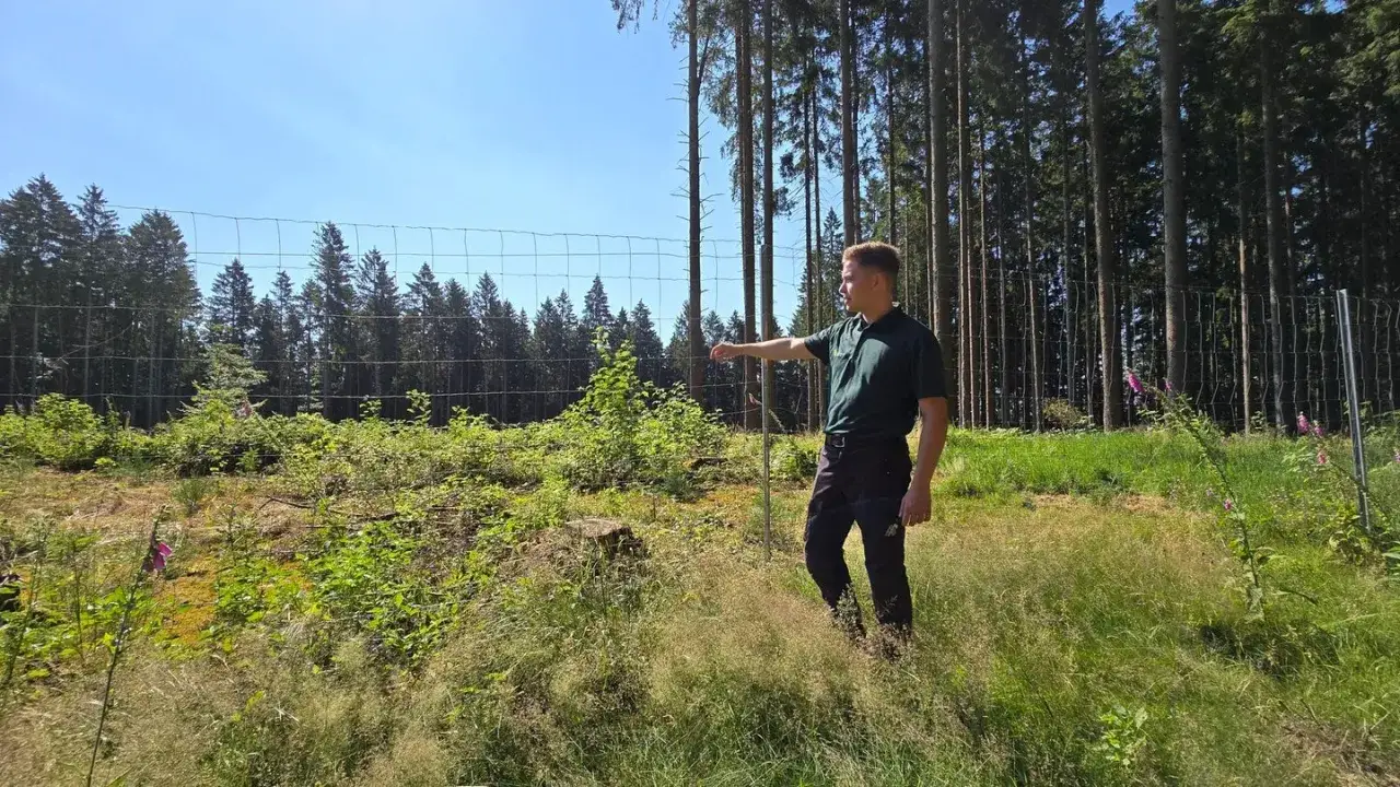 Mann in Wald, erkl&auml;rt neue Wege f&uuml;r Quereinsteiger in Berufe in der Natur.