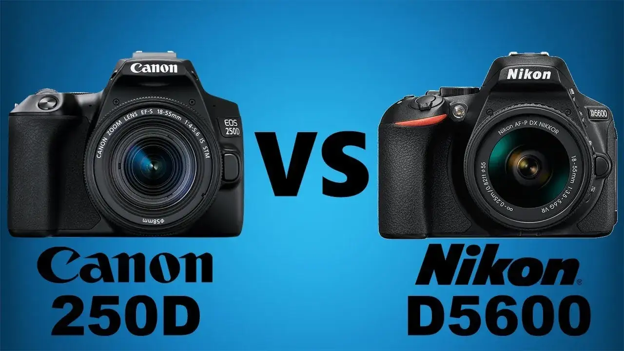 Canon EOS 250D Nikon D3500 Nikon D5600 porównanie