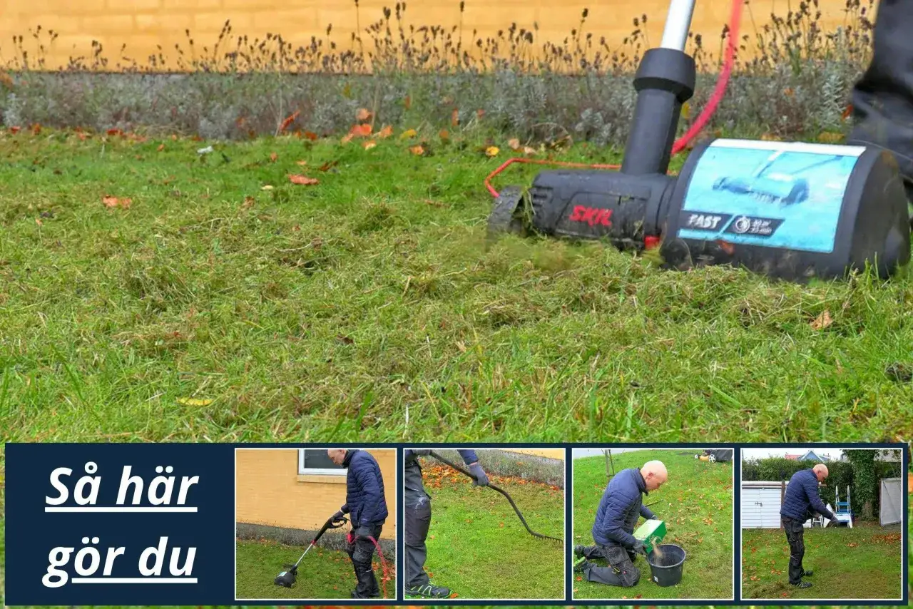 Man använder en vertikalskärare för att ta bort mossa och död vegetation från gräsmattan. Bilden visar steg för steg hur man gör.