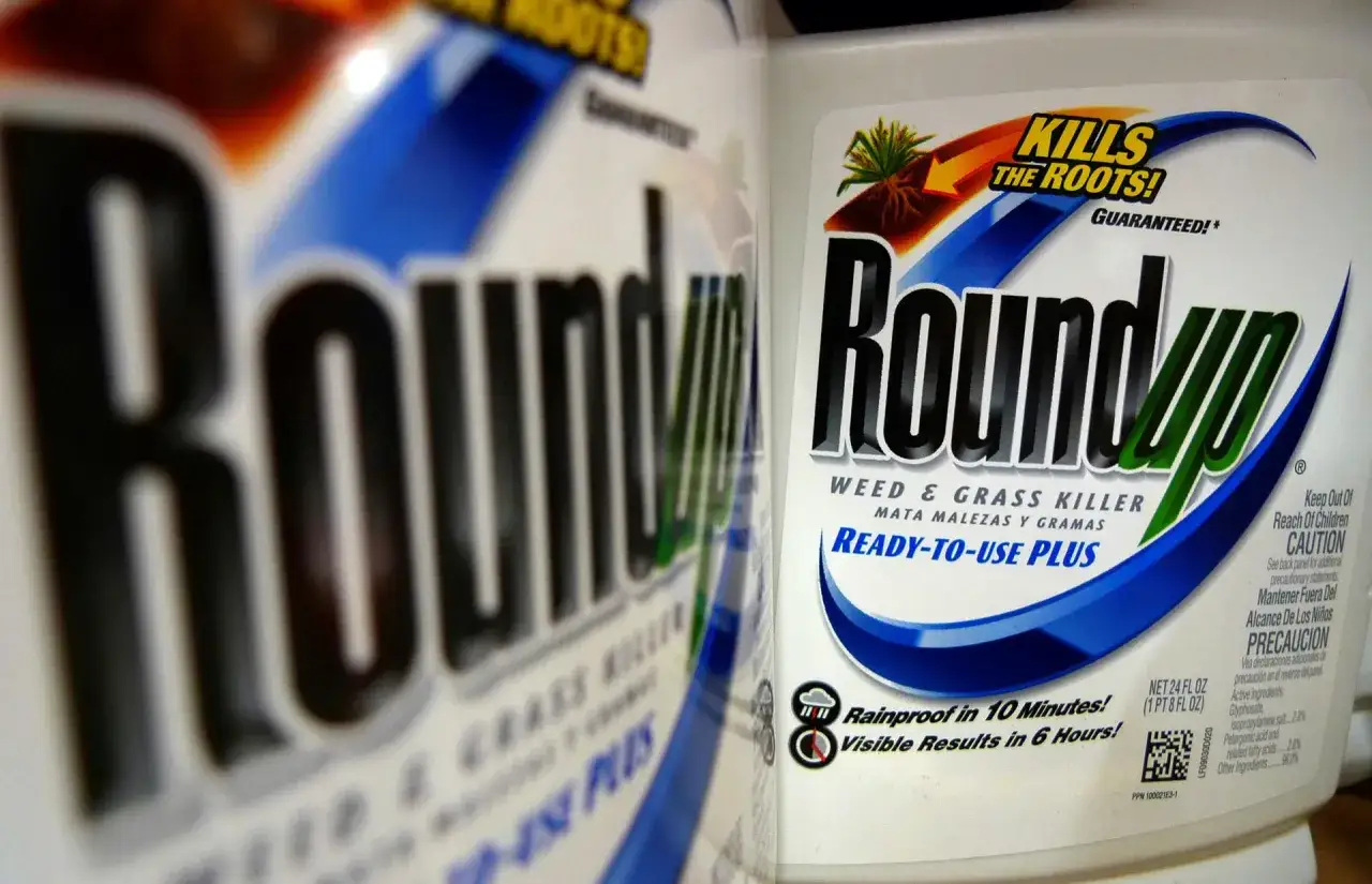 Roundup Unkrautvernichter: Diskussionen über ein mögliches Roundup verboten strafen.