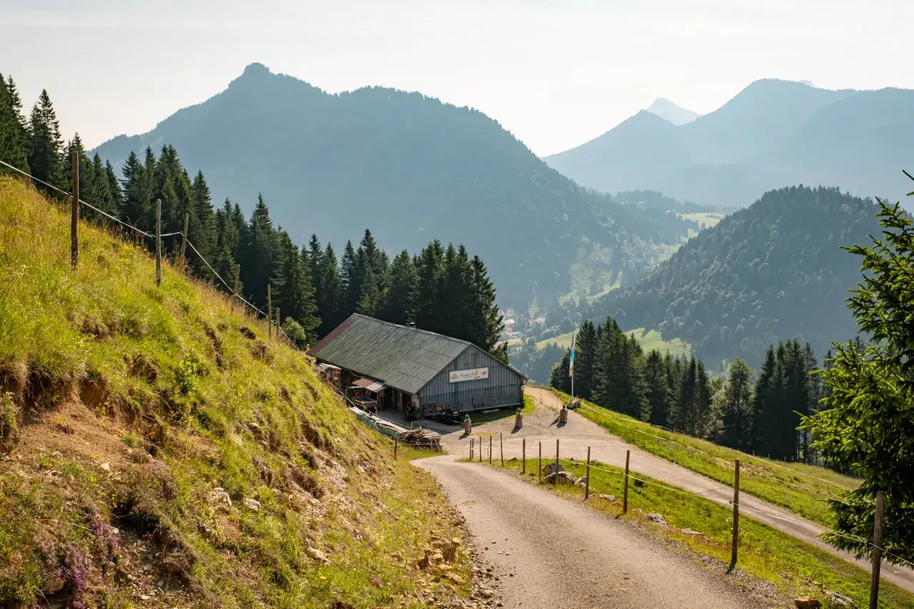 Bergpanorama mit der Buchel Alpe, einem rustikalen Gebäude, umgeben von grünen Hängen und Nadelwäldern.