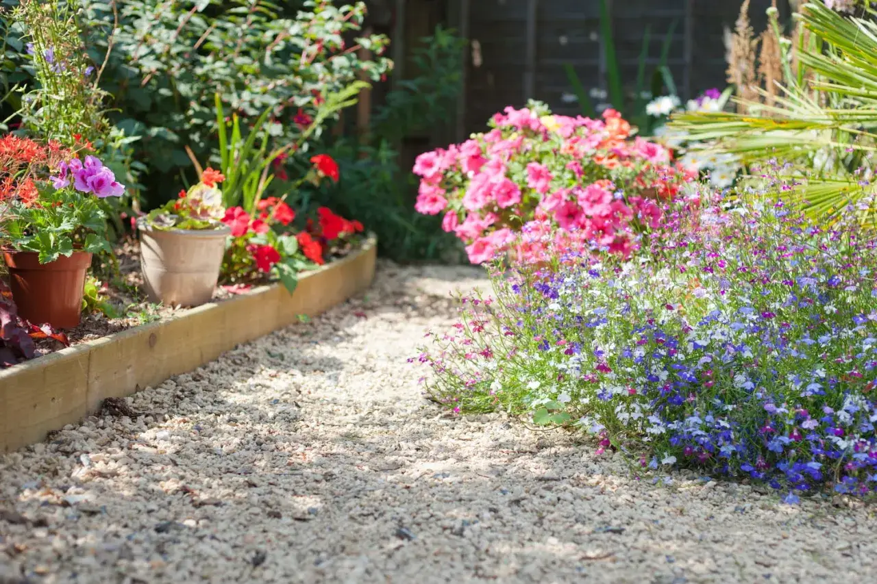 Un chemin de gravier m&egrave;ne &agrave; un jardin paysager sans entretien, bord&eacute; de fleurs color&eacute;es et de verdure luxuriante.