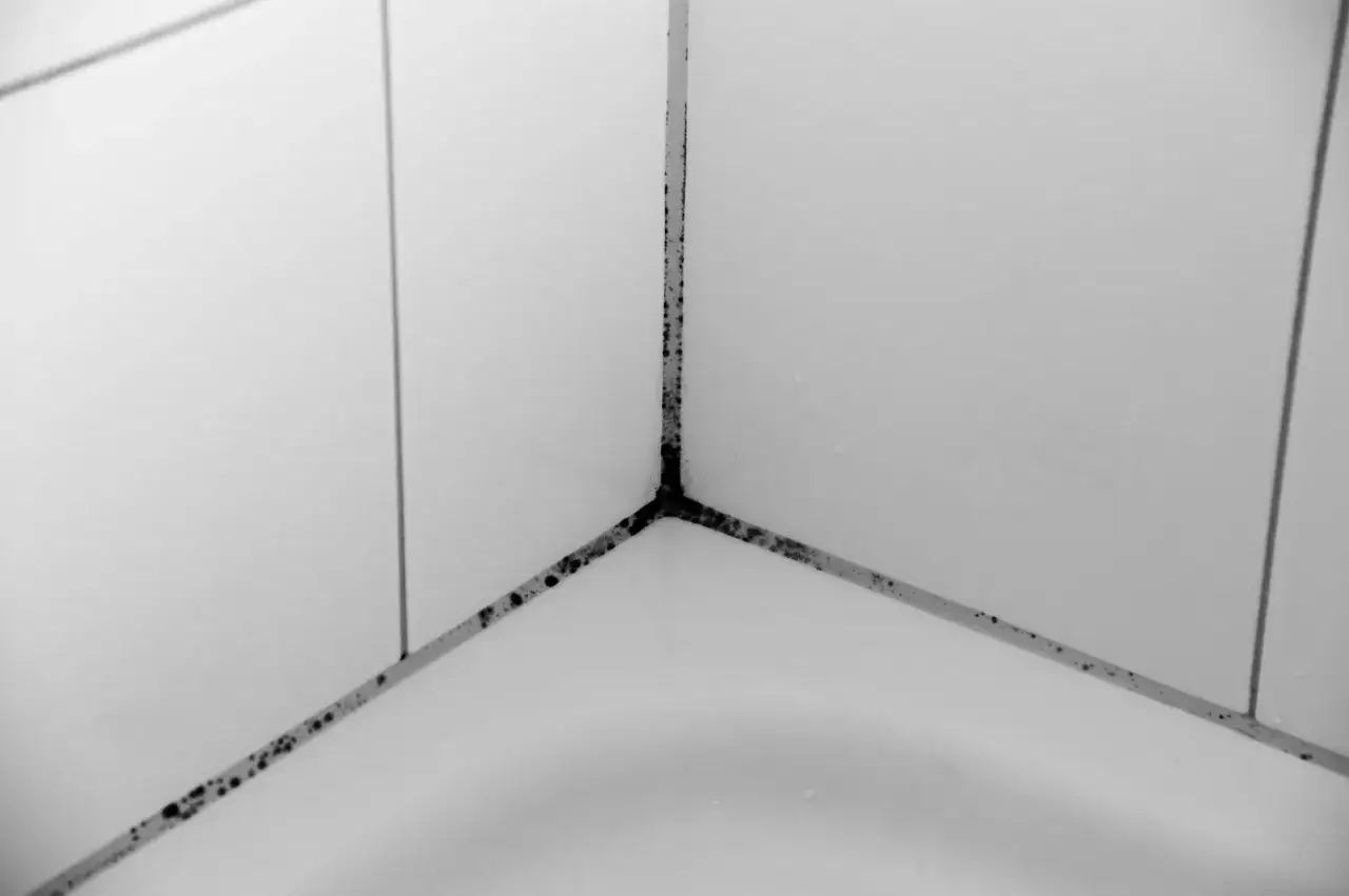 Schwarzer Schimmel in den Fugen der Dusche. Hausmittel zum Fugen Schimmel entfernen gesucht.