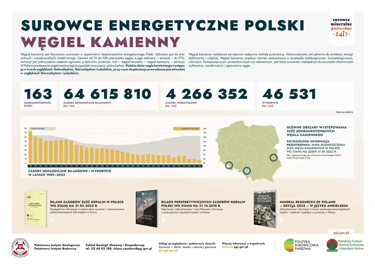 Węgiel kamienny, kluczowy surowiec energetyczny Polski, powstawał miliony lat temu. Dokumentacja przedstawia dane o jego zasobach i wydobyciu.