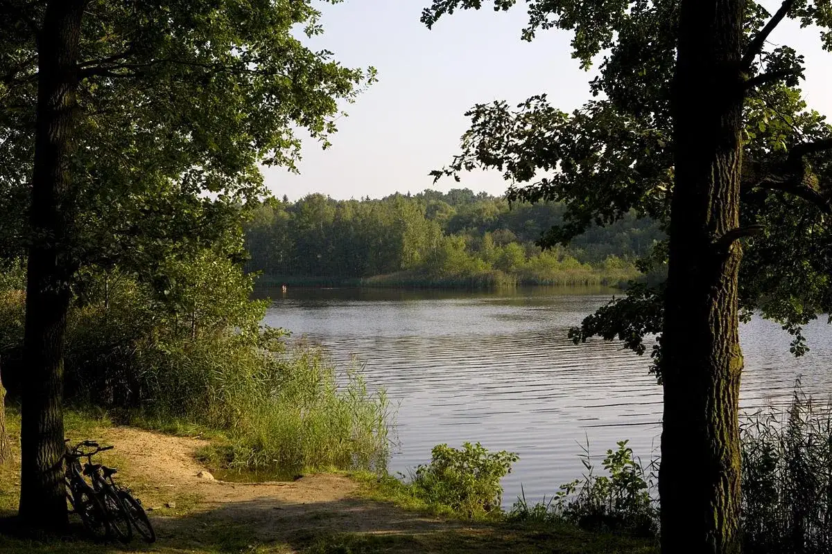 Dwa rowery czekają na brzegu jeziora w Osolinie. Woda lśni, a las otacza spokojną taflę.