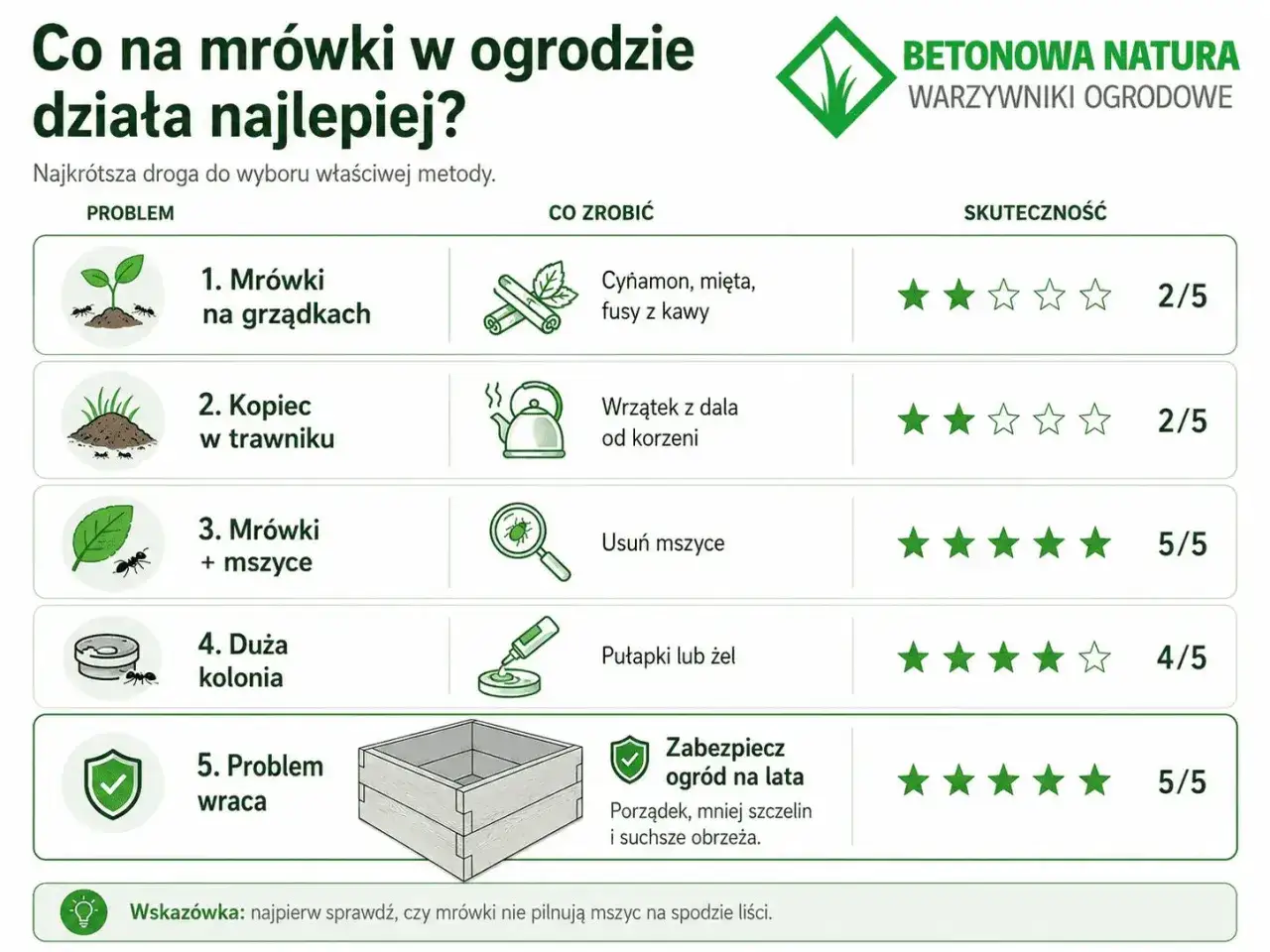 Tabela porównuje metody walki z mrówkami w ogrodzie: od cynamonu na grządkach po zabezpieczenie ogrodu na lata.
