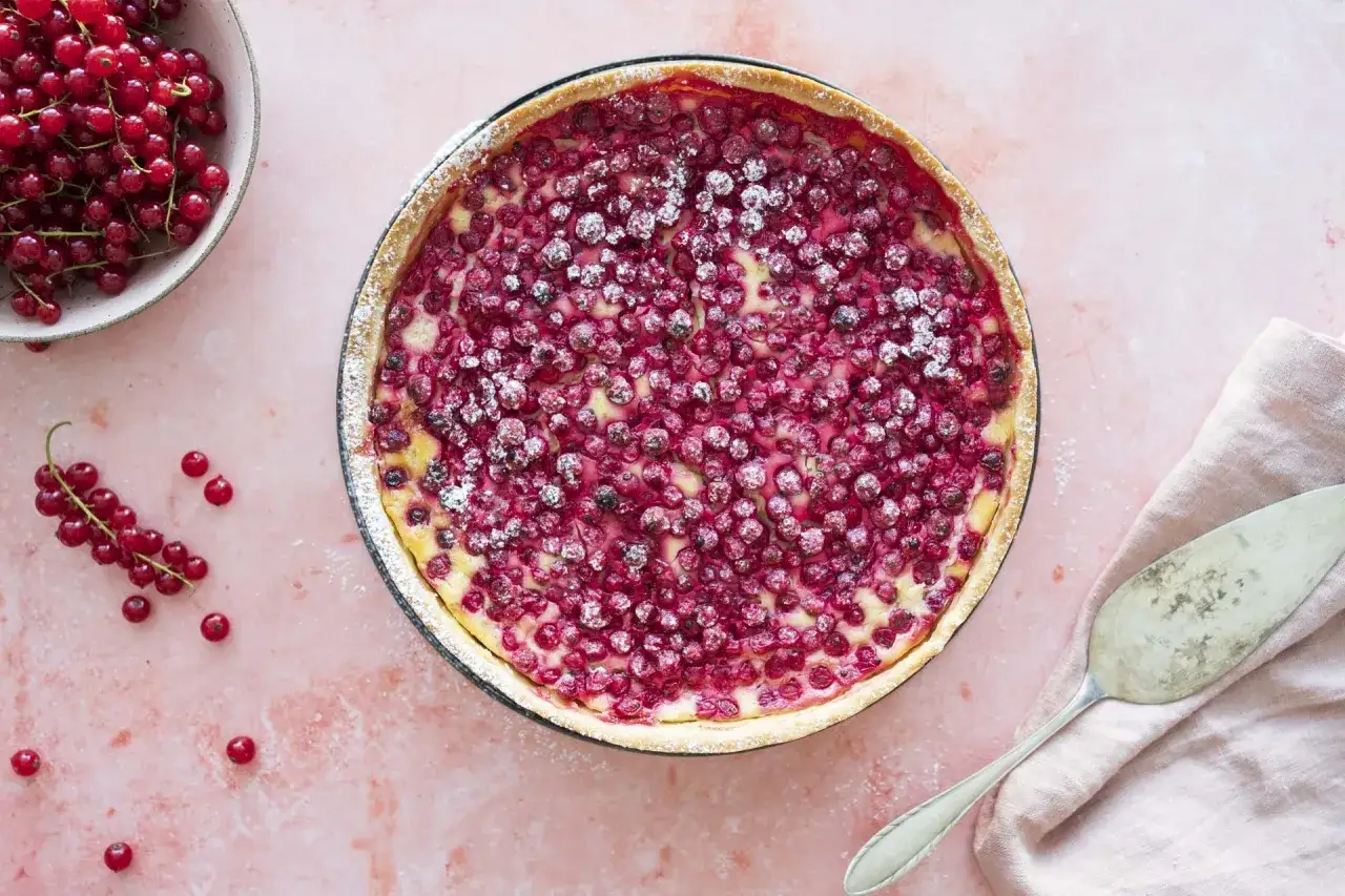 Ein saftiger Johannisbeerkuchen mit Schmand in einer Springform, best&auml;ubt mit Puderzucker. Daneben eine Schale voller roter Johannisbeeren.