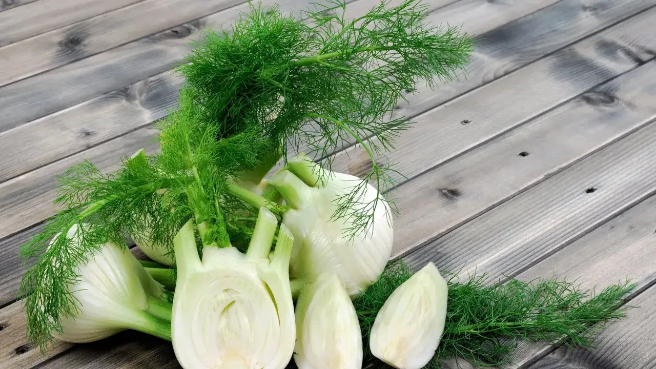 Frischer Fenchel, bekannt für seine verdauungsfördernden Eigenschaften, ist eine beliebte Wahl für Frauen in der Schwangerschaft.