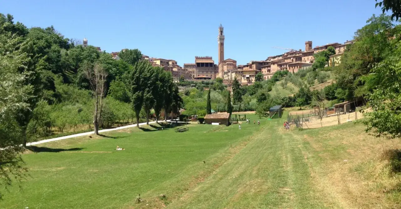 Un prato verde e alberi nel **l'orto dei pecci Siena**, con la citt&agrave; medievale sullo sfondo.