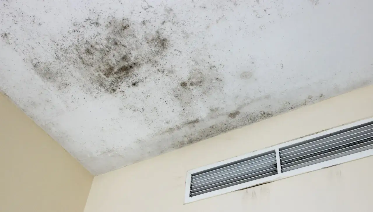 Muffa sul soffitto, segno che il muro non è traspirante e l'umidità ristagna.