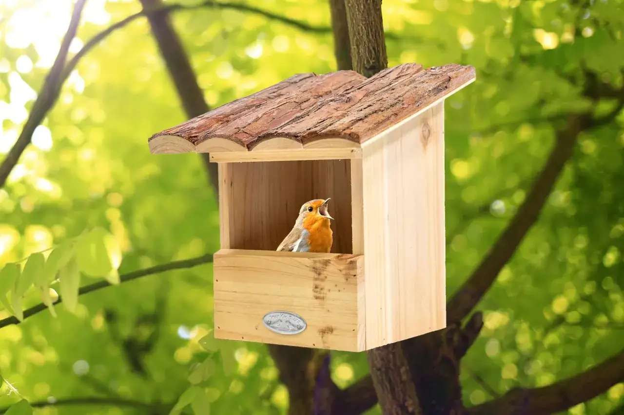 Ein Rotkehlchen singt fr&ouml;hlich in seinem neuen, gem&uuml;tlichen rotkehlchen nest aus Holz, umgeben von gr&uuml;nem Bl&auml;tterdach.