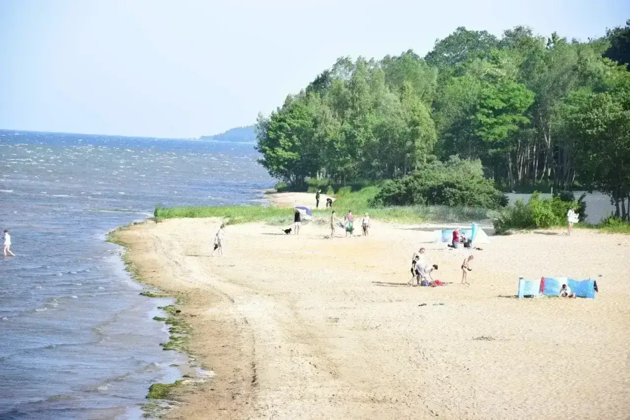 Słoneczny dzień na piaszczystej plaży mierzei rewska. Ludzie odpoczywają, kąpią się i spacerują.