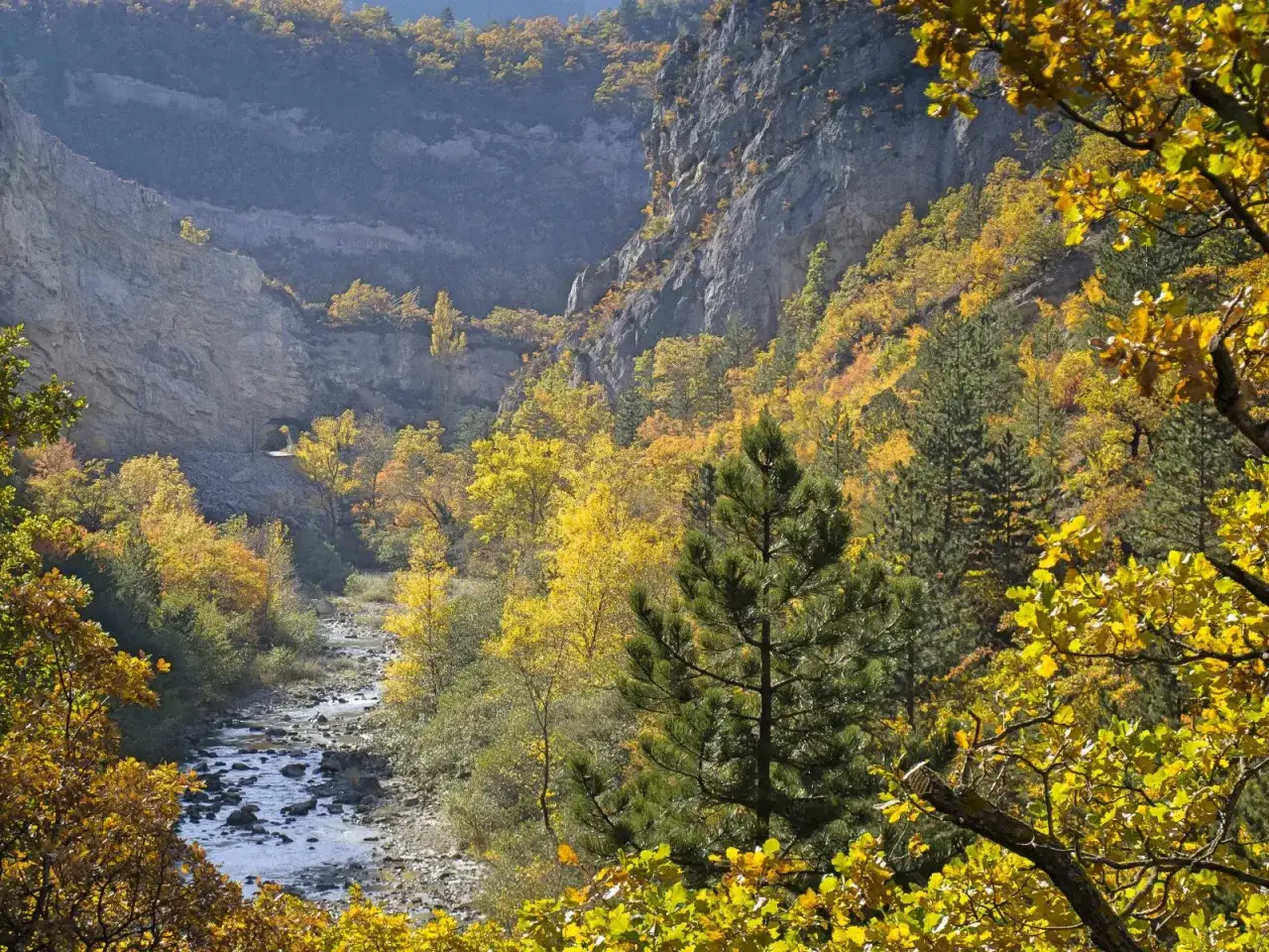 Magnifique paysage d'automne dans les gorges de la Roanne. Une rivière serpente au milieu des falaises et des arbres aux couleurs chatoyantes, invitant à la randonnée.