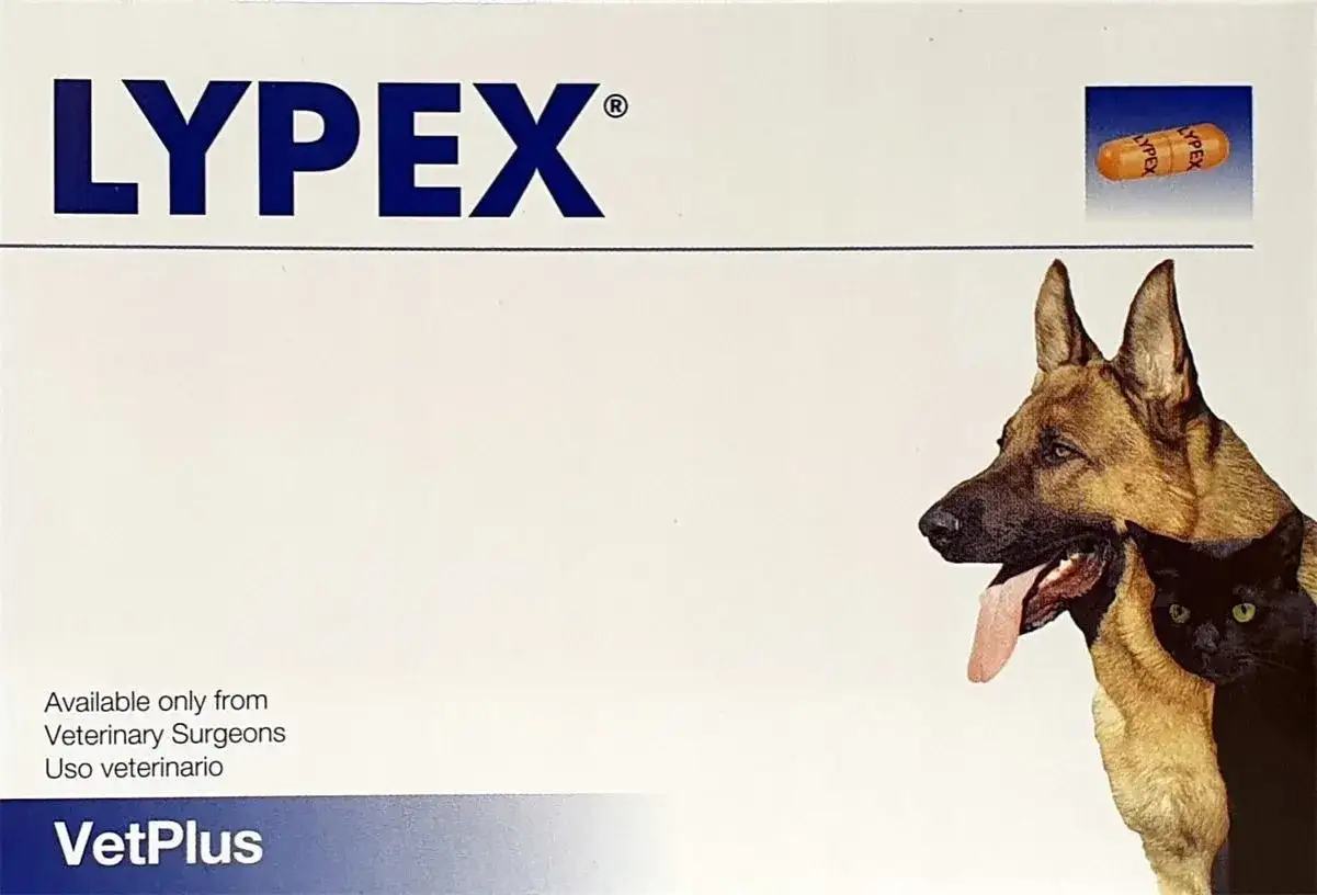 Lypex dla psa i kota. Opakowanie leku z wizerunkiem psa i kota.