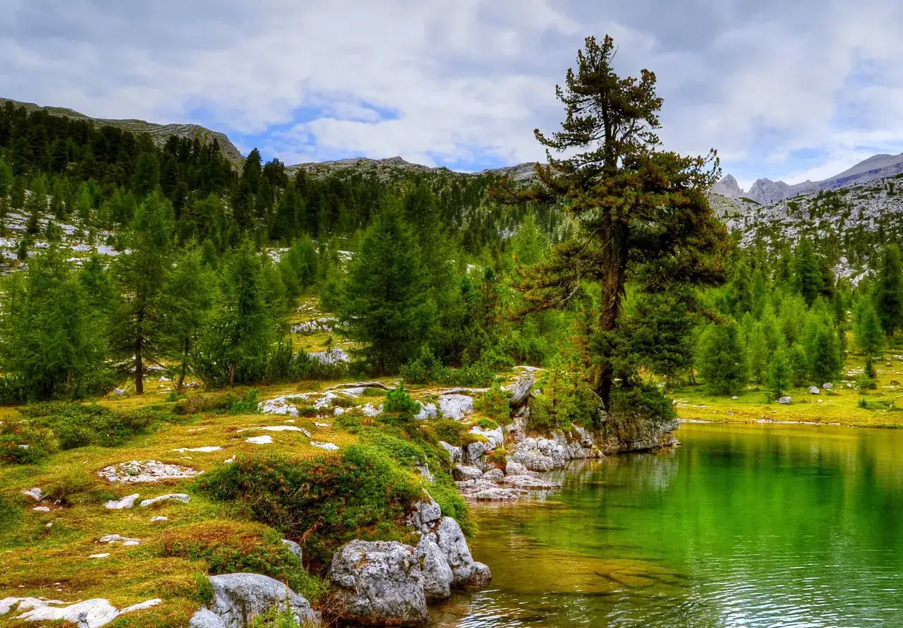 Grön sjö med steniga stränder och en skogklädd bergssluttning. Perfekt för ute aktiviteter som vandring och naturfotografering.