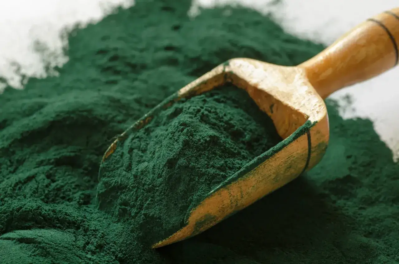 Dawkowanie spiruliny dla psa proszek