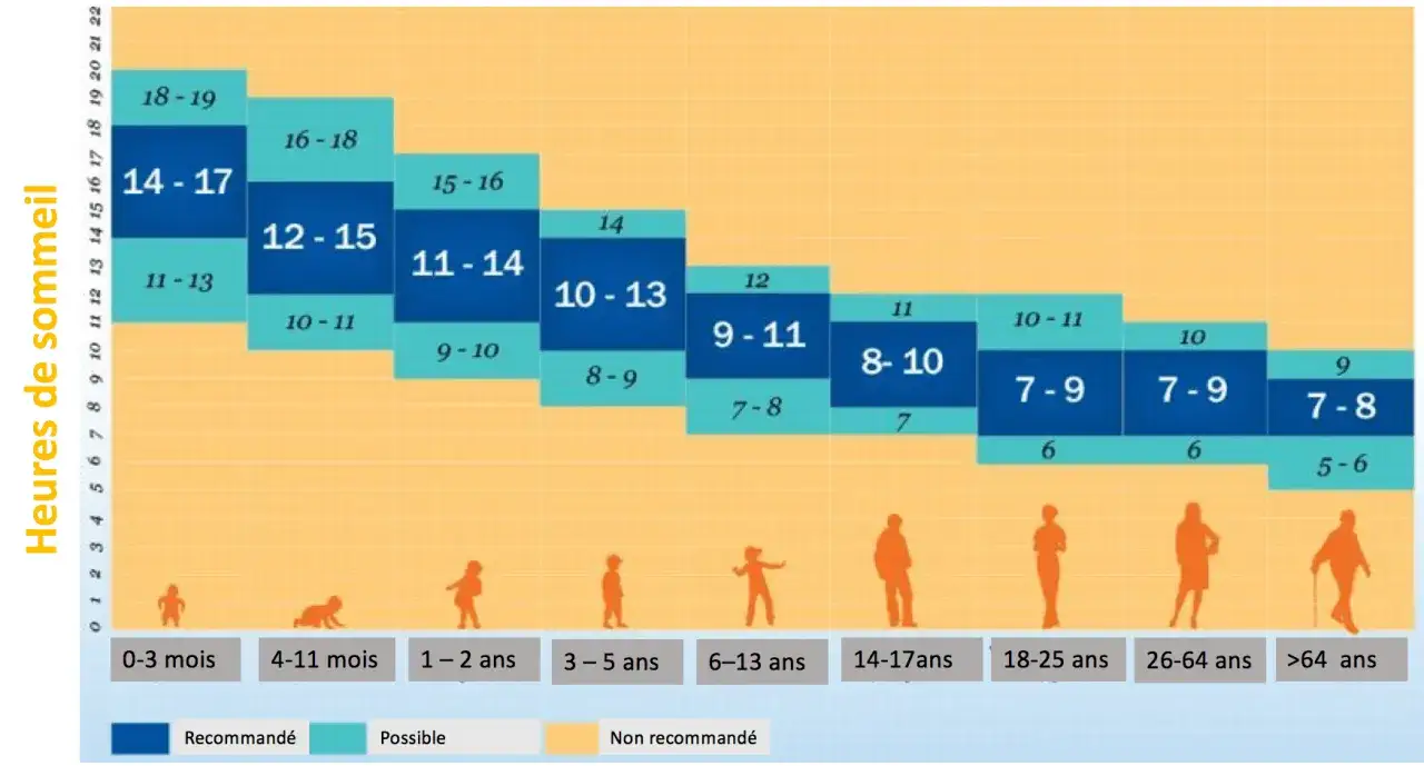 Graphique illustrant le temps de sommeil par âge, du nourrisson à la personne âgée. Les heures recommandées varient selon les tranches d'âge.