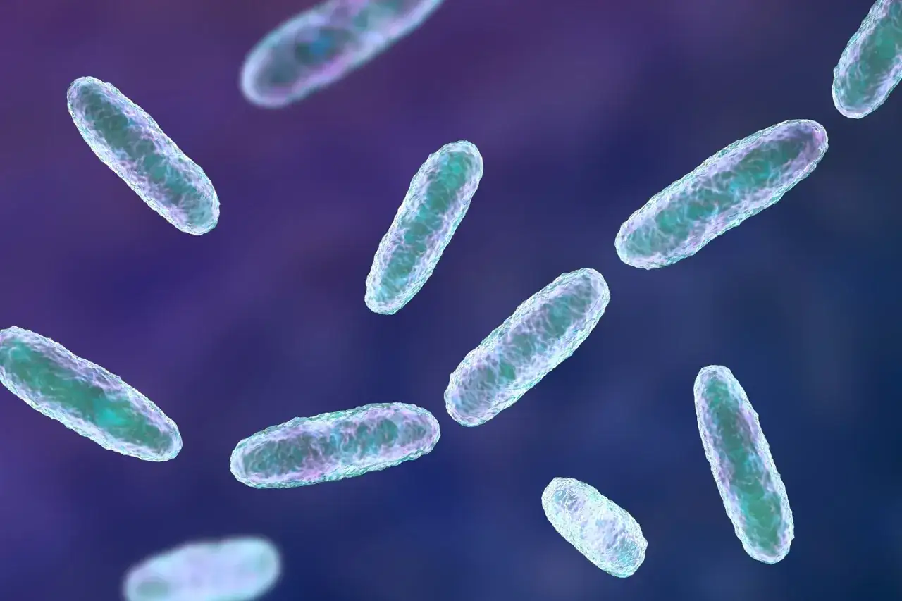 Bakterie Klebsiella pneumoniae, pałeczki o zielonkawo-niebieskiej barwie, unoszą się w fioletowym tle.