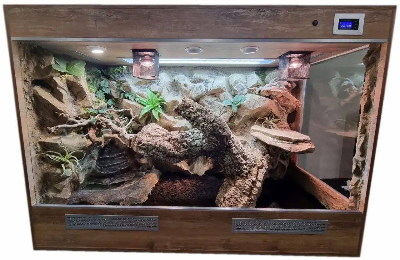różne typy terrariów dla węży
