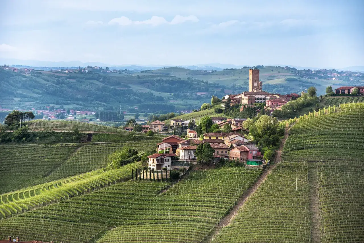 Sanft geschwungene Weinberge, Heimat der edlen Barbaresco Rebsorte, umgeben ein malerisches Dorf mit einem mittelalterlichen Turm.