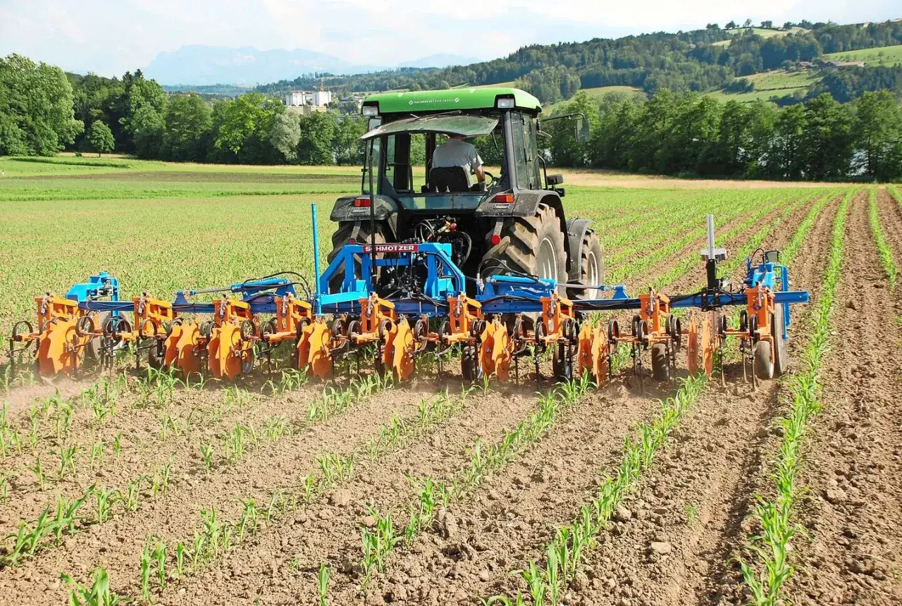 Traktor mit Hackgerät bearbeitet Maisfeld. Moderne Landwirtschaft durch präzises Hacken.