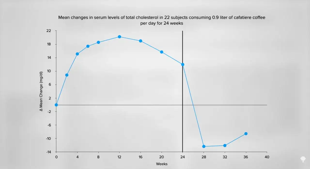 Linien-Diagramm zeigt, wie sich der **Cafestol**-Gehalt im Blut auf das **Cholesterin** auswirkt. Nach 24 Wochen Kaffeekonsum steigt es an, f&auml;llt dann aber stark ab.