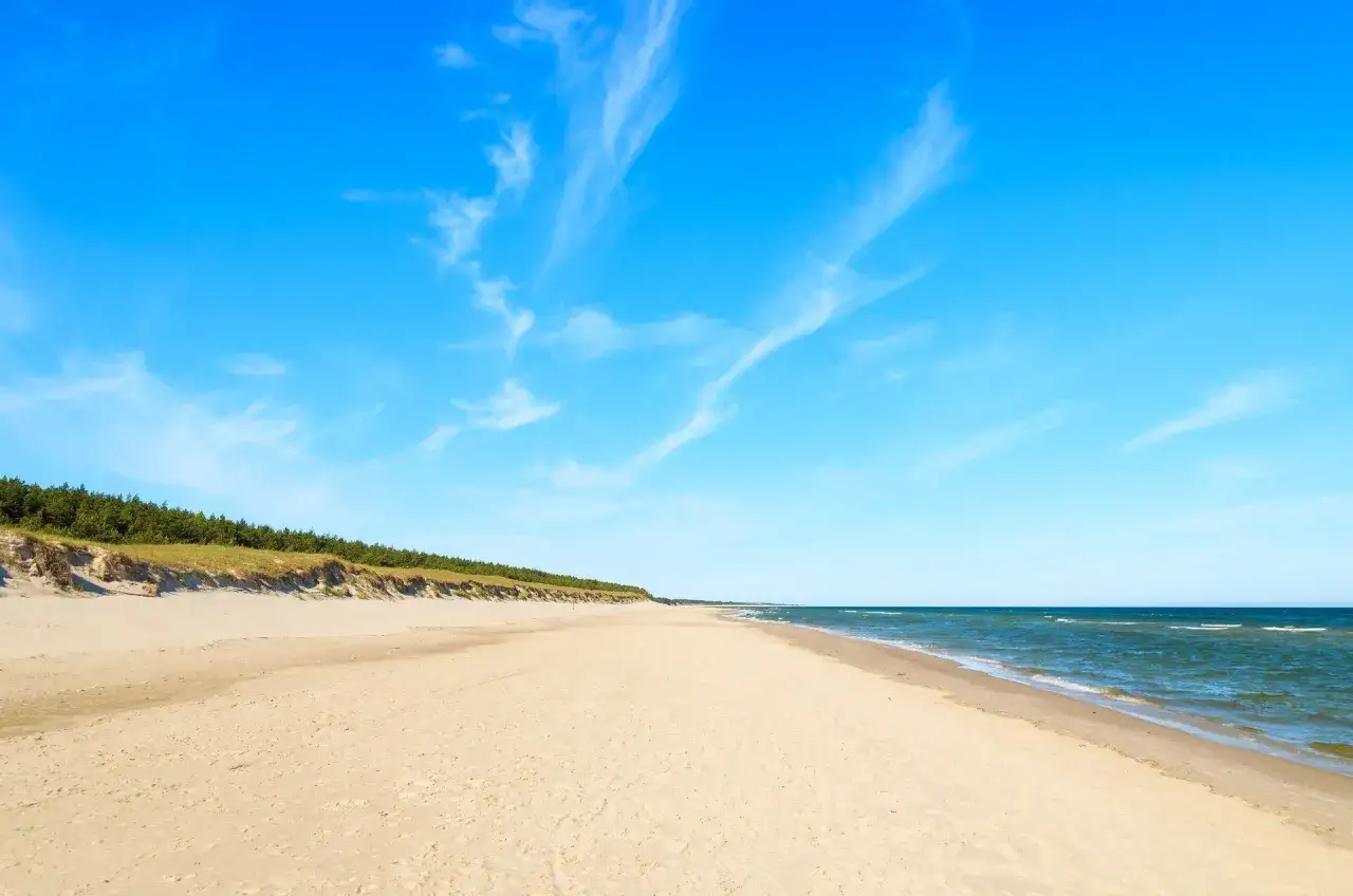 Pusta plaża w Łebie, z wydmami porośniętymi sosnami i błękitnym niebem. Idealne miejsce na relaks w łebskiej chacie.