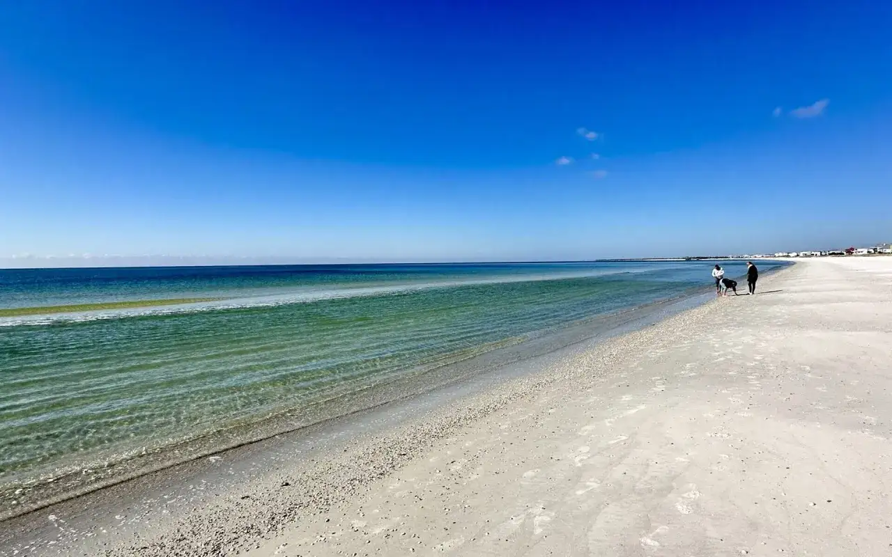 Spacer po plaży z psem, idealny dzień, kiedy do Meksyku.