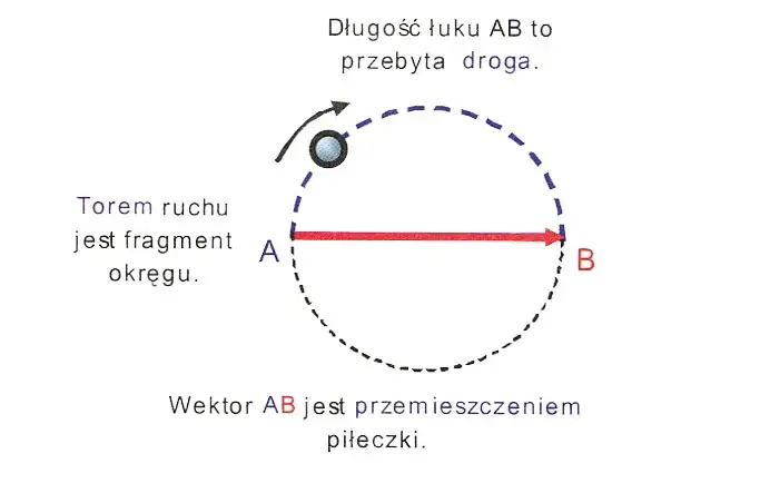 Zdjęcie Co to jest przemieszczenie w fizyce? Zrozum jego znaczenie i różnice