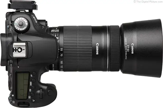 Zdjęcie Obiektyw Canon 55-250mm: 5 zastosowań, które Cię zaskoczą