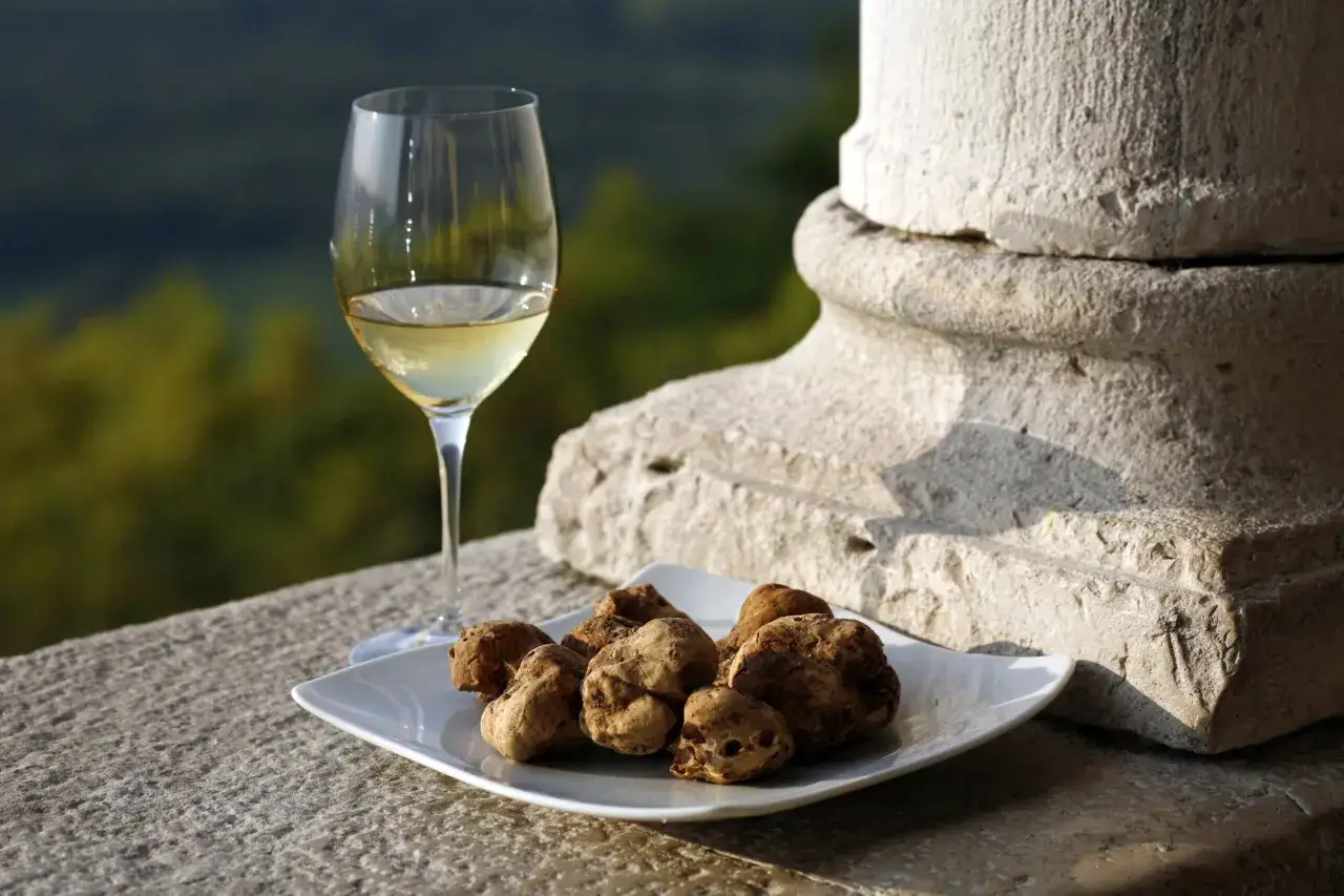Kuchnia Istria trufle oliwa wino