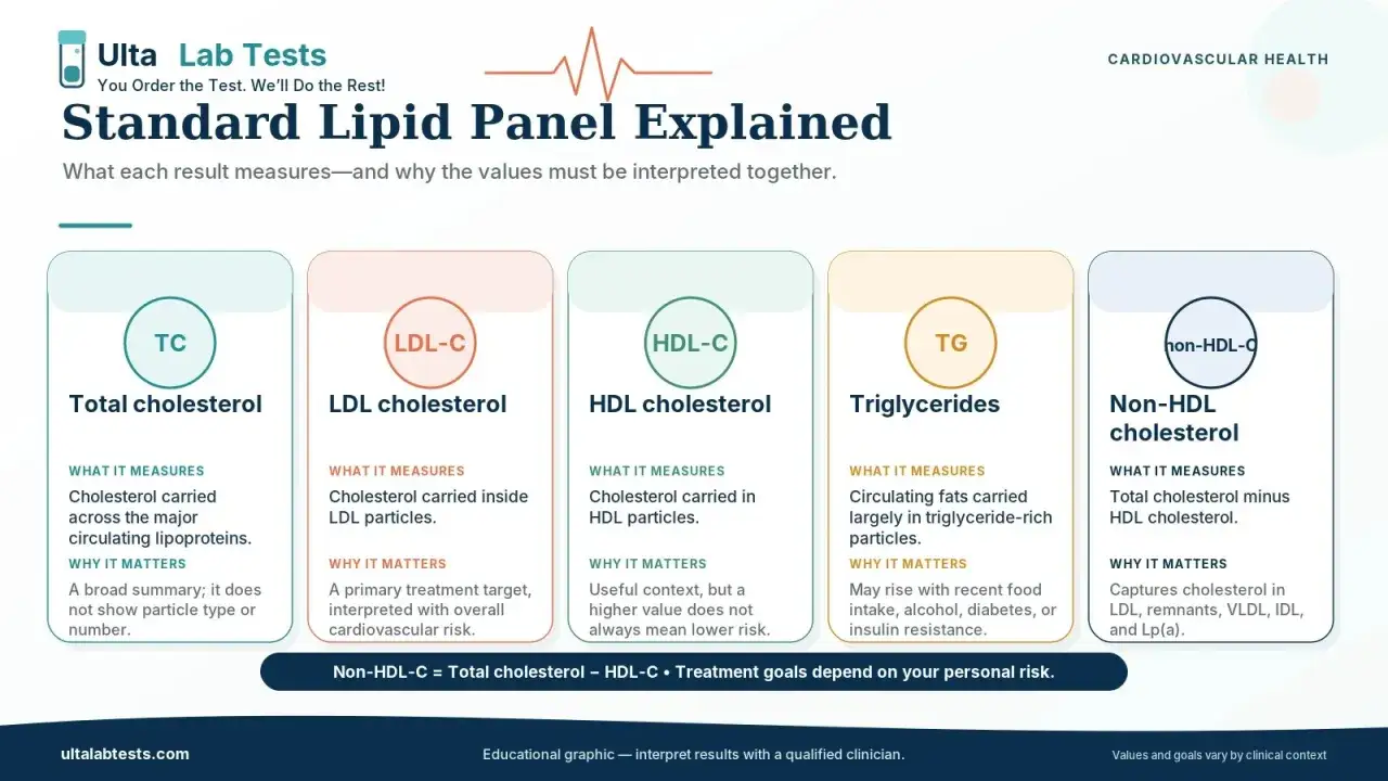 Grafica che spiega il pannello lipidico standard: colesterolo totale, LDL-C, HDL-C, trigliceridi e non-HDL-C. Il rapporto colesterolo totale e HDL-C &egrave; fondamentale.