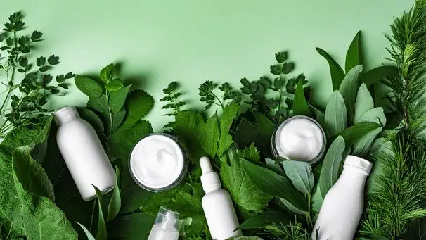 Naturkosmetik Produkte und grüne Pflanzen in einem Kosmetikstudio