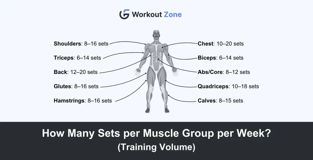 Guida visiva su quante serie per gruppo muscolare settimanali per ottimizzare l'allenamento.
