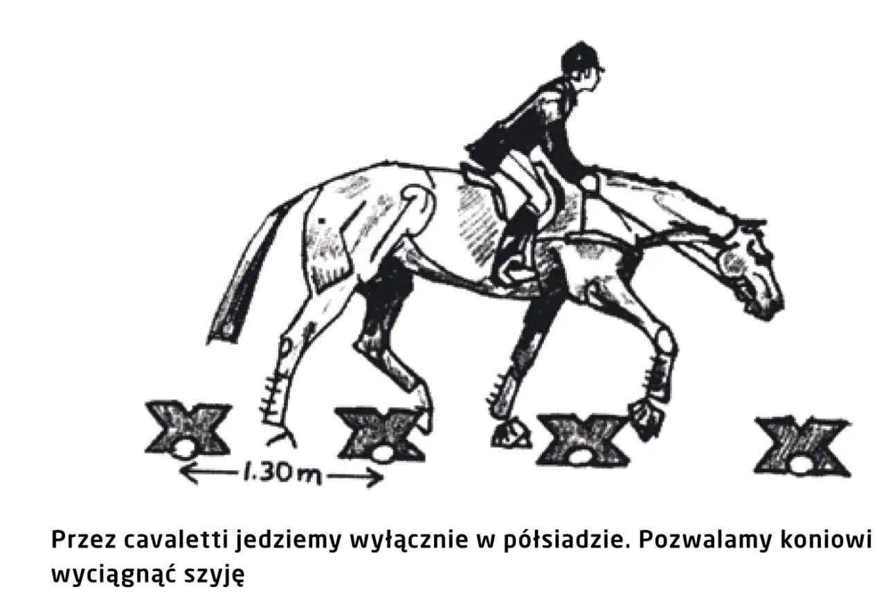 Rysowanie konia w galopie etapy