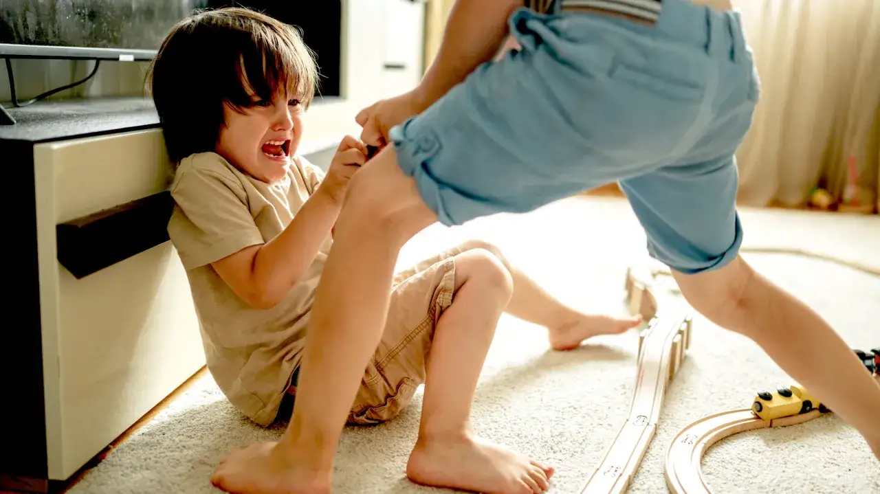 Zwei Kinder streiten sich um Spielzeug. Ein Junge weint, während der andere ihn festhält. Diese Szene beschreibt die **Beziehung zu Geschwistern** auf eine turbulente Art.