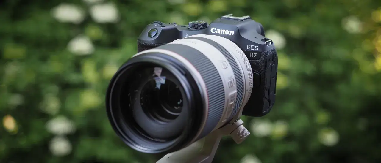 Cámara Canon EOS R7 con lente blanca, lista para capturar la naturaleza.
