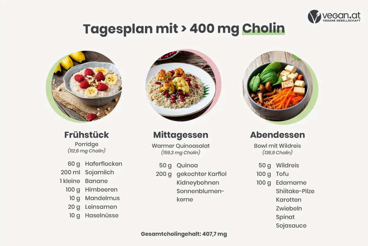 Tagesplan mit &uuml;ber 400 mg Cholin, wichtig f&uuml;r die Schwangerschaft. Enth&auml;lt Fr&uuml;hst&uuml;ck, Mittag- und Abendessen mit veganen Rezepten.