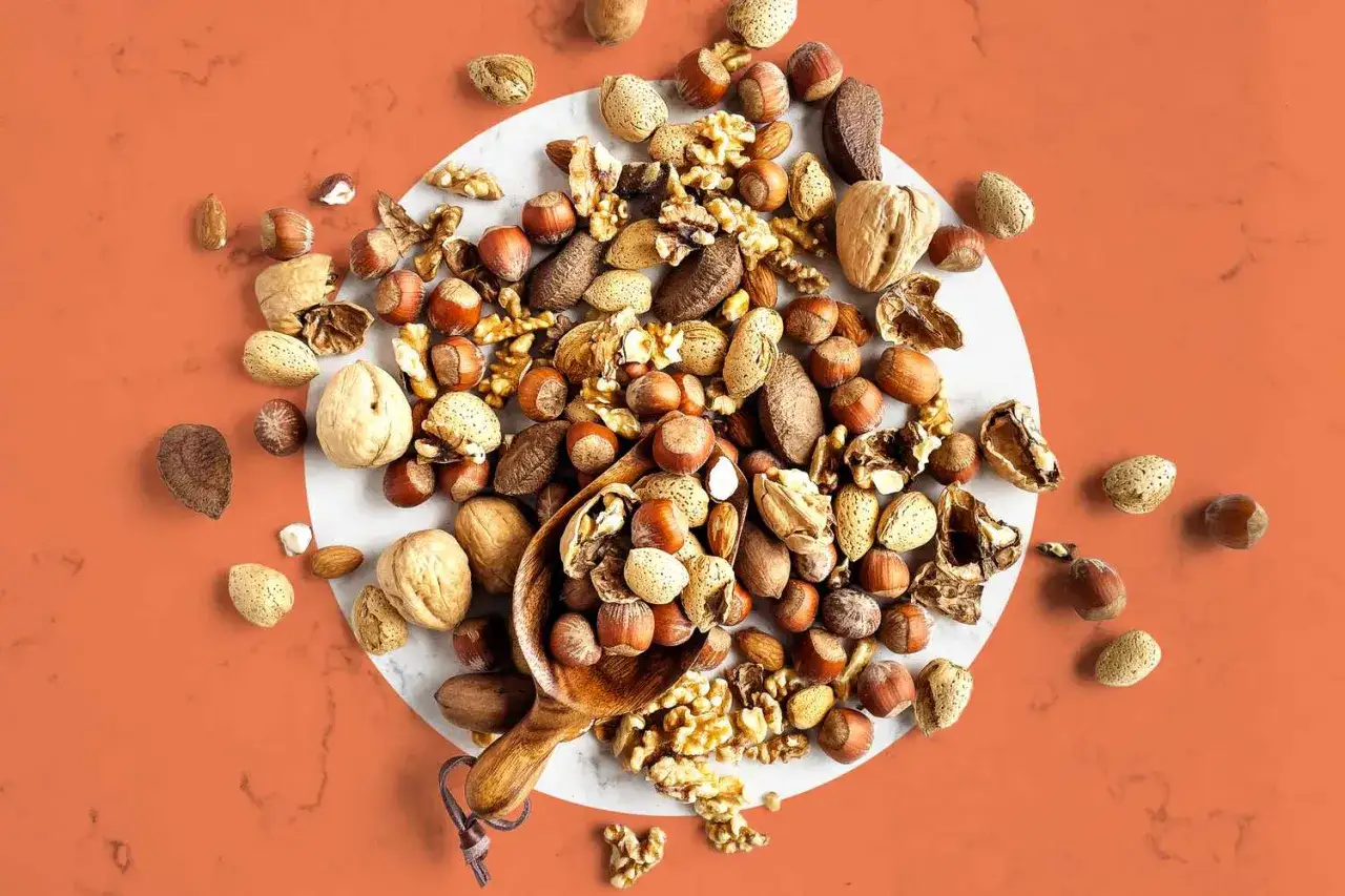 Un assortiment de noix et fruits secs, incluant amandes, noix, noisettes et noix du Brésil, forme une liste d'oléagineux appétissante.