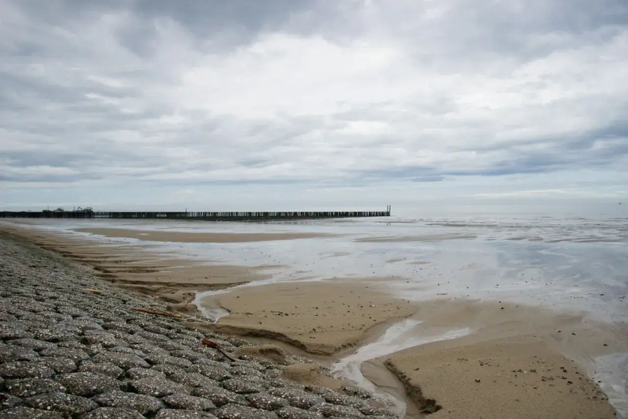 Plaża z kamiennym falochronem i drewnianymi słupkami w wodzie. Tak, w Holandii jest morze.
